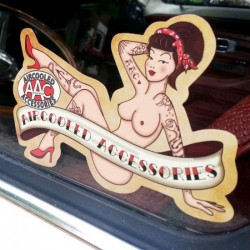 AUTOCOLLANT "AAC PIN UP" (taille : 125 x 80 mm)